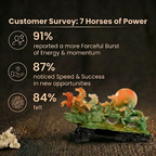 Customer Survey of 7 Running Horses Pyrite Statue