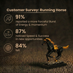 Customer Survey of Elegant Black and Gold Running Horse Showpiece