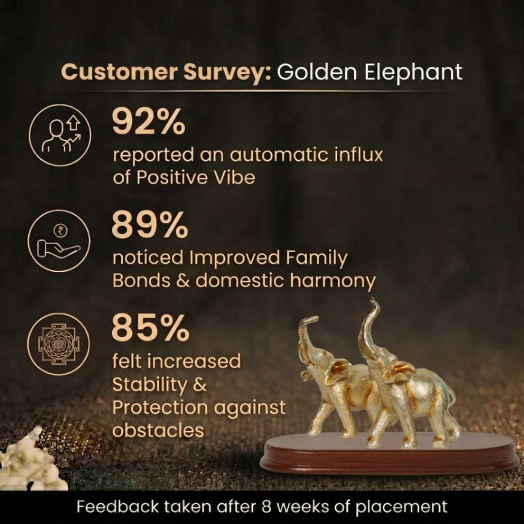 Customer Survey of Elegant Golden Elephant Duo