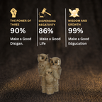 Customer Survey of Elegant Golden Three Owl Family Showpiece