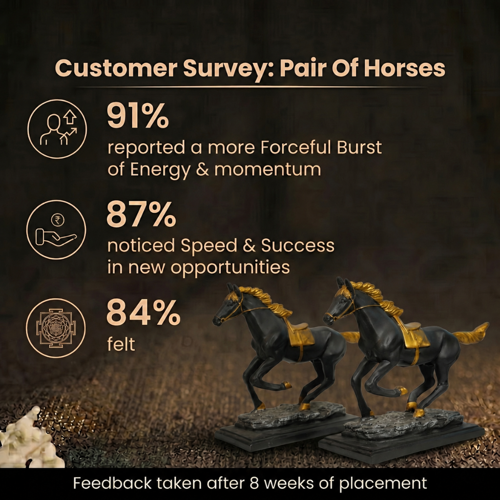 Customer Survey of Elegant Pair of Running Horses Showpiece