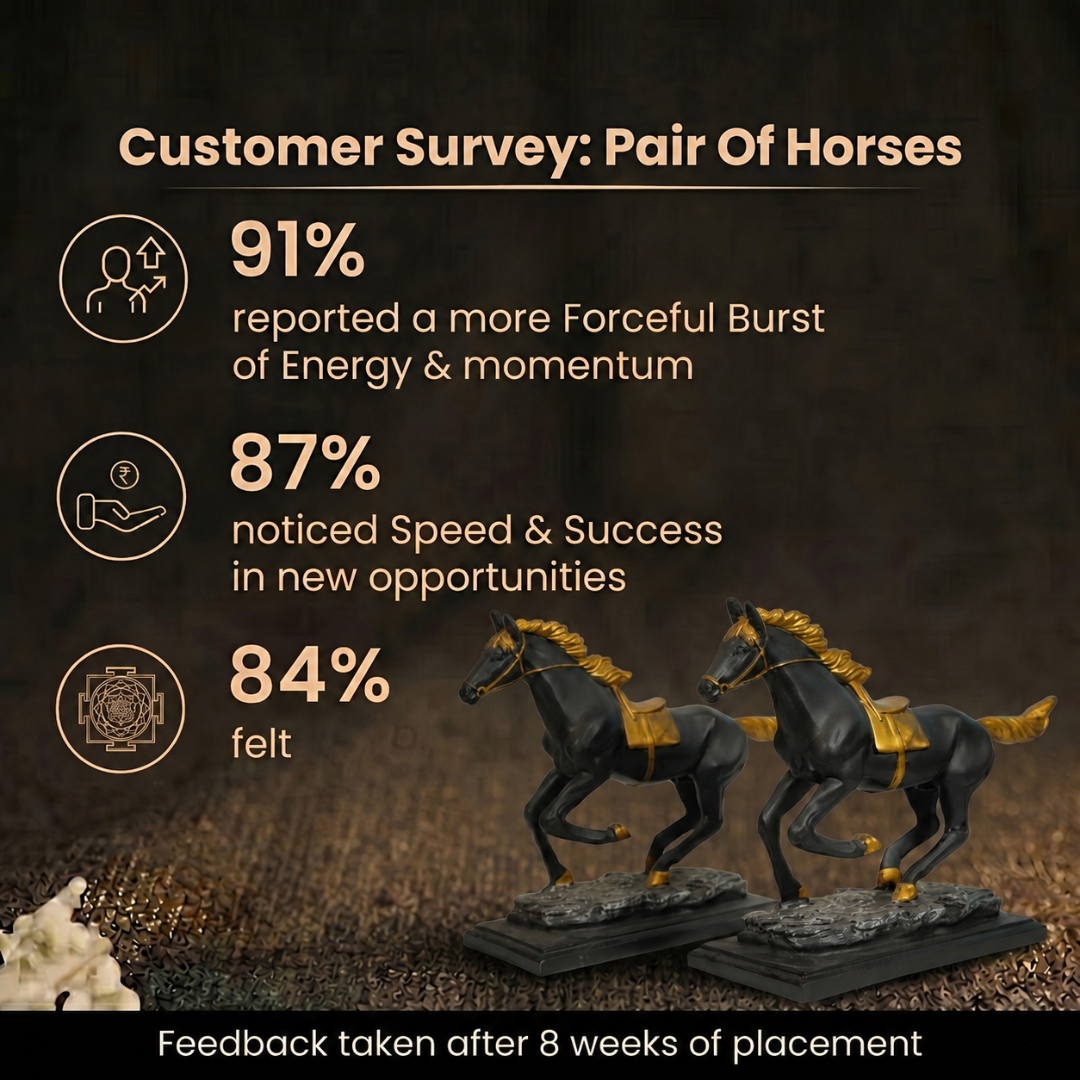 Customer Survey of Elegant Pair of Running Horses Showpiece