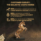 Customer Survey of Elegant Rearing Horse Statue