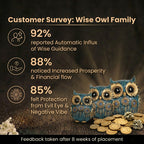 Customer Survey of Elegant Trio of Owls