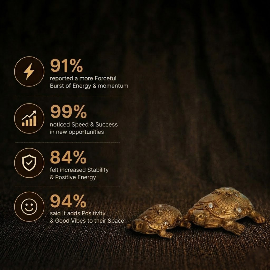Customer Survey of Golden Tortoise Duo