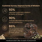 Customer Survey of Mother and Baby Elephant Statue