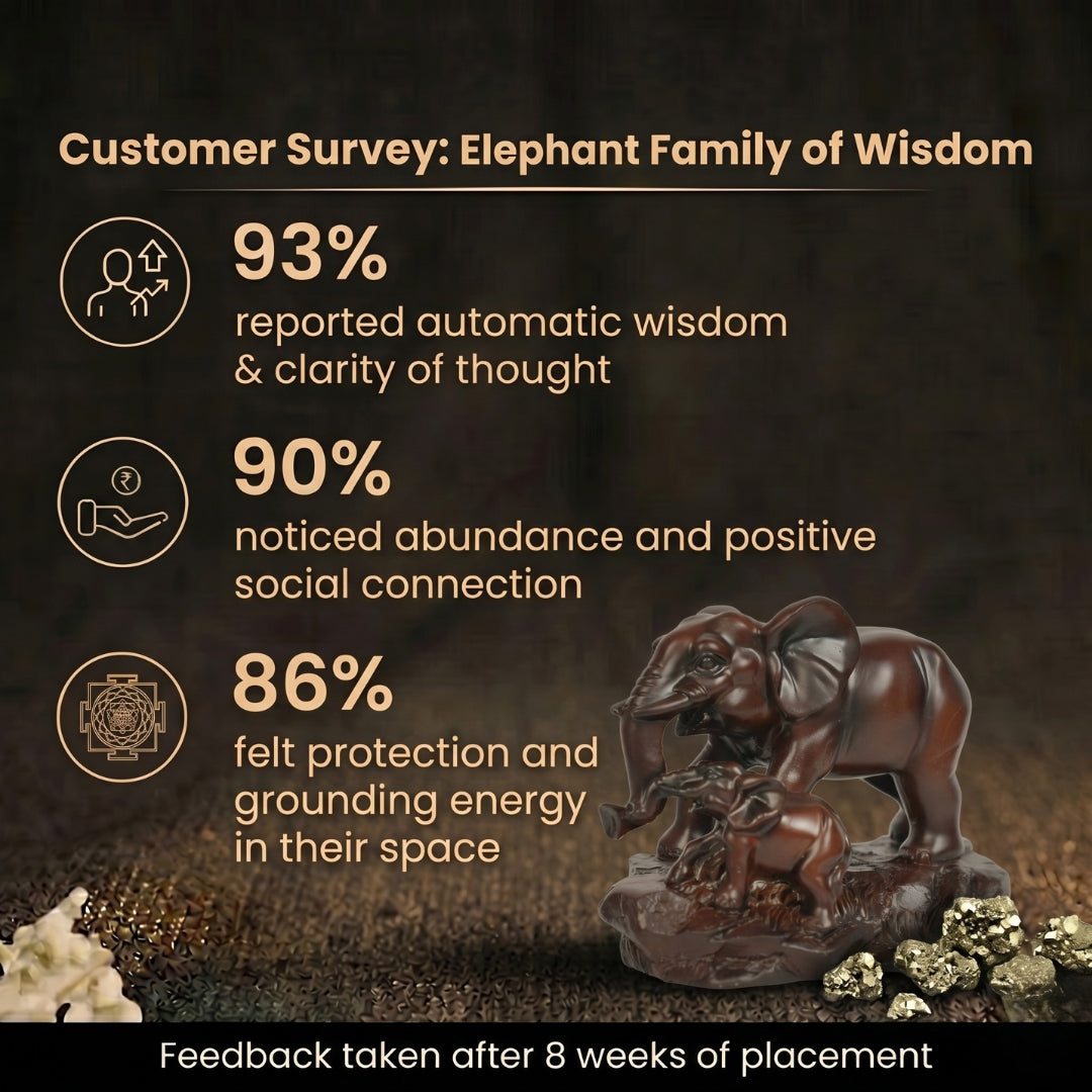 Customer Survey of Mother and Baby Elephant Statue