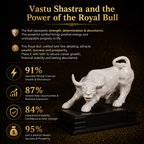 Customer Survey of Powerful Charging White Bull Statue