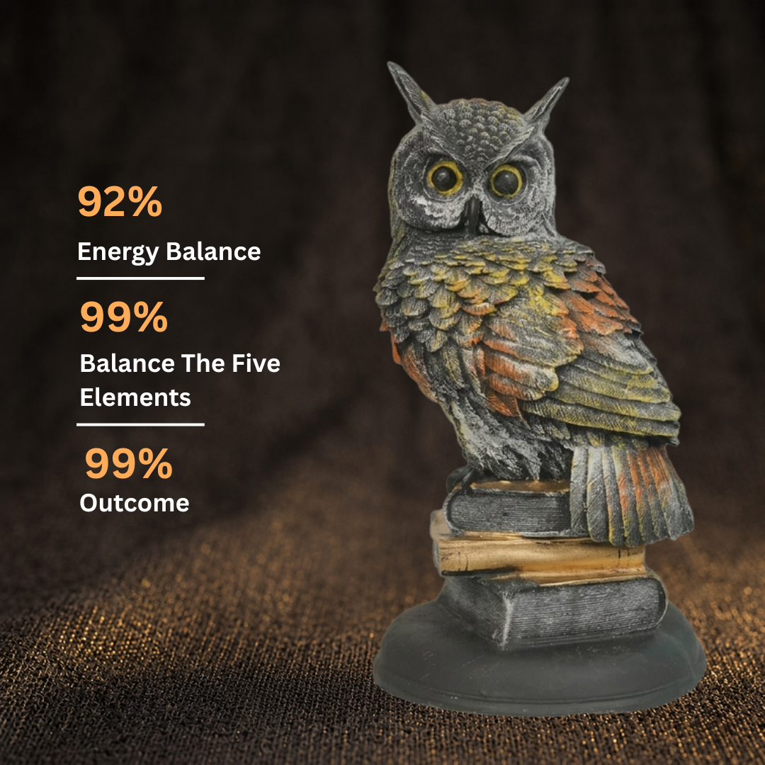 Customer Survey of Wise Owl on Books Showpiece