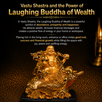 Details for the Golden Laughing Buddha Murti
