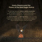 Details for the Majestic Eagle Statue