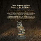 Details for the Wise Owl on Books Showpiece