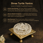 Details of the Crystal Tortoise with Glass Plate