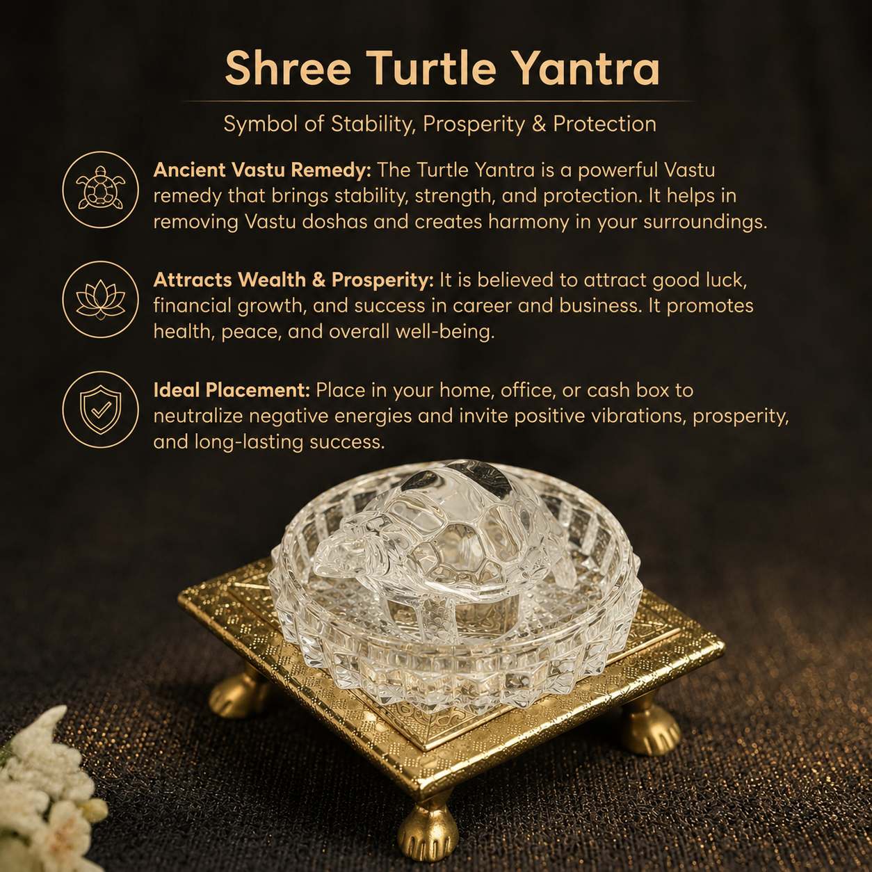 Details of the Crystal Tortoise with Glass Plate