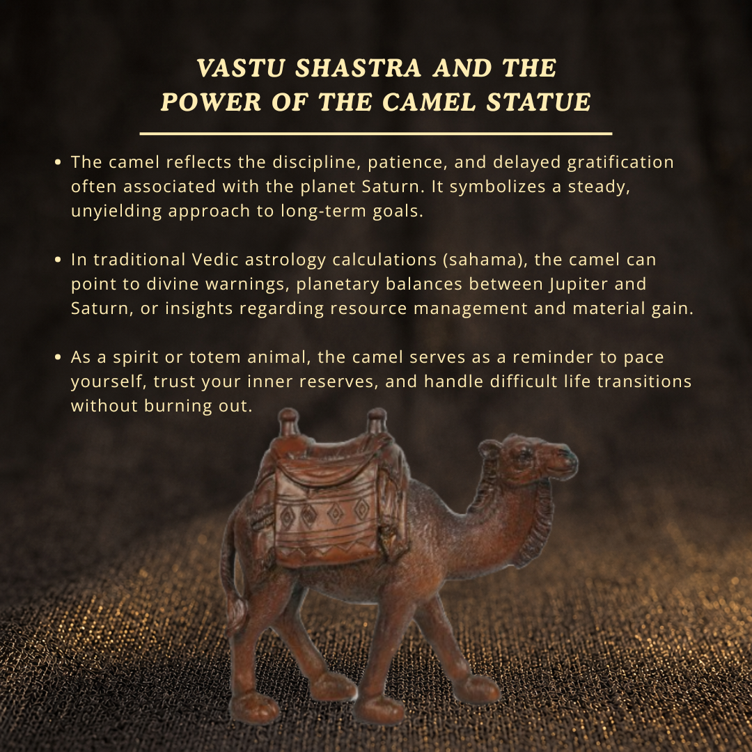 Details of the Exquisite Camel Figurine