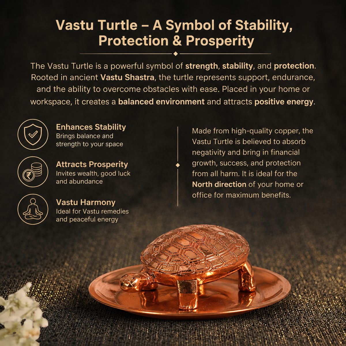 Details of the Pure Copper Tortoise with Plate Set