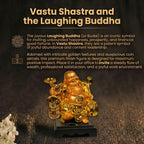 Details of the Radiant Golden Laughing Buddha