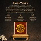 Details of the Shree Yantra