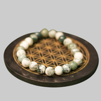 Natural Tree Agate & Moss Agate Energy Bracelet for Prosperity, Growth & Mercury Alignment