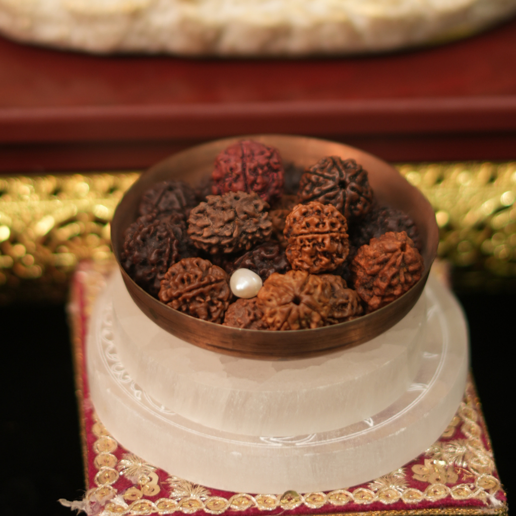 Sacred Assorted Mukhi Rudraksha Bowl