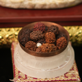 Sacred Assorted Mukhi Rudraksha Bowl