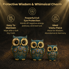 Short Details of Elegant Trio of Owls