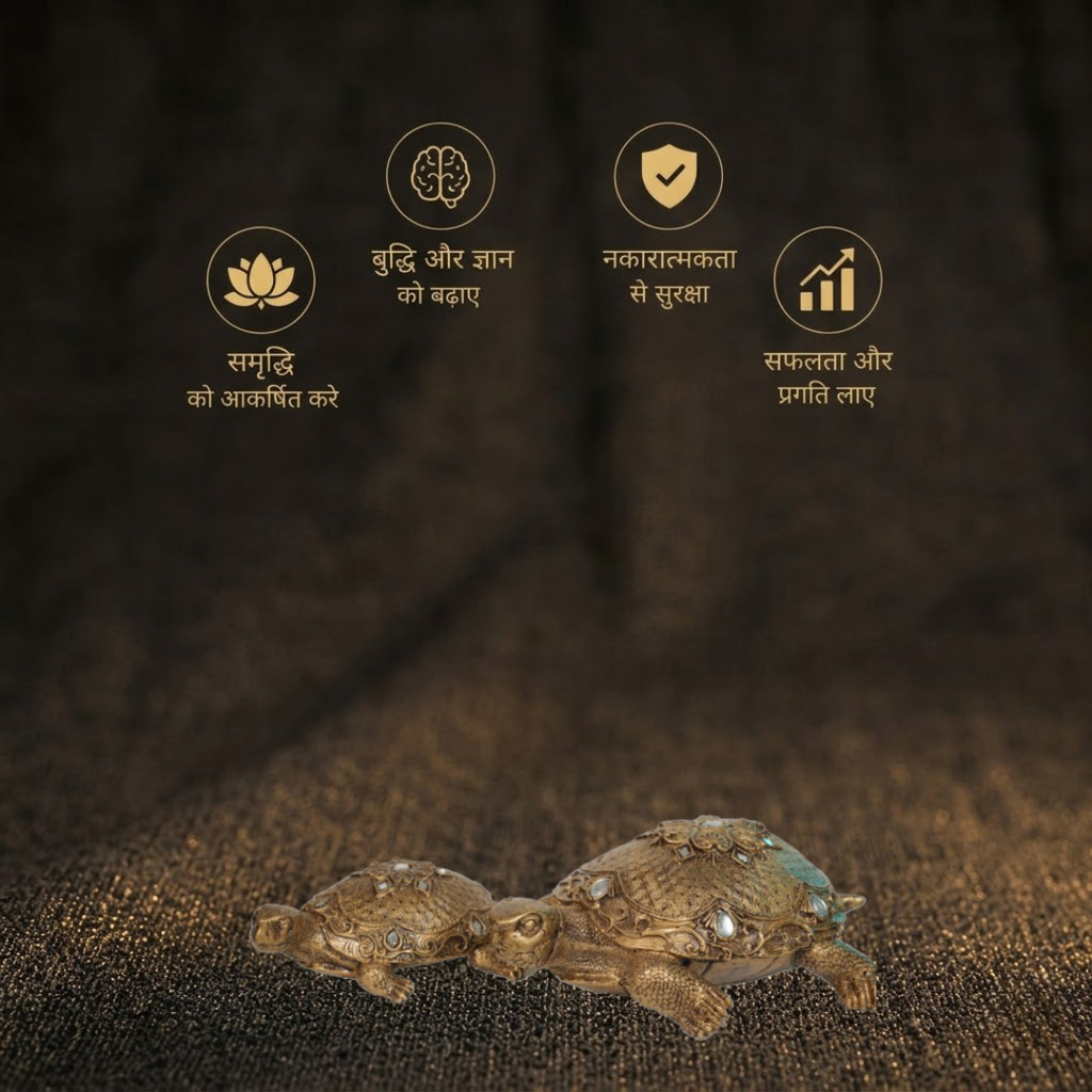 Short Details of Golden Tortoise Duo